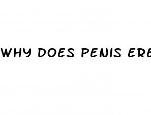 why does penis erect in the morning