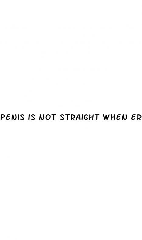 penis is not straight when erect