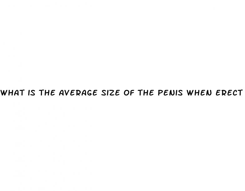 what is the average size of the penis when erect