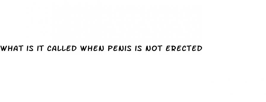 what is it called when penis is not erected