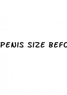 penis size before erection