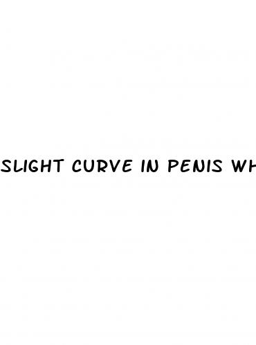slight curve in penis when erect