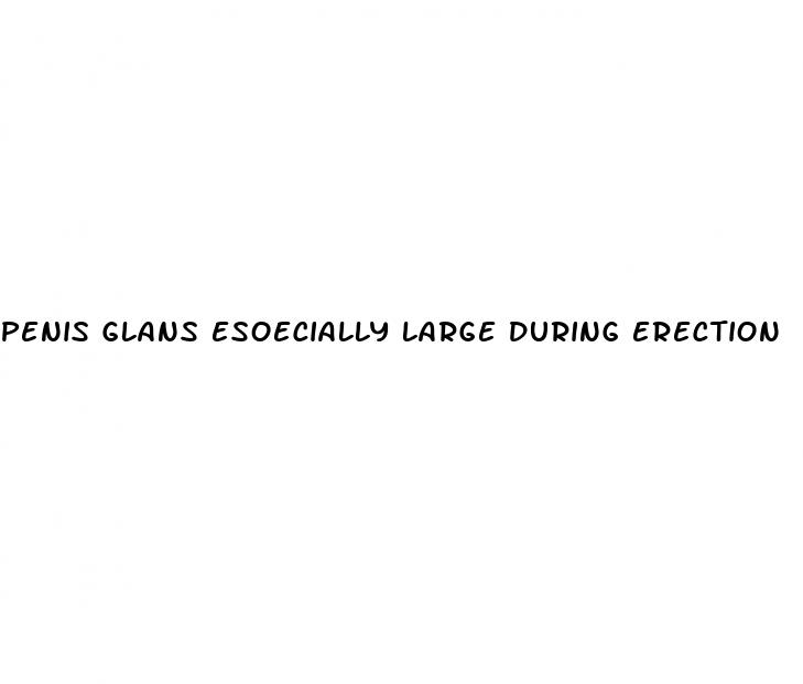 penis glans esoecially large during erection