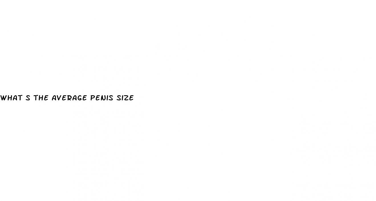 what s the average penis size
