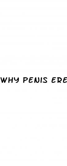 why penis erect with womens ass