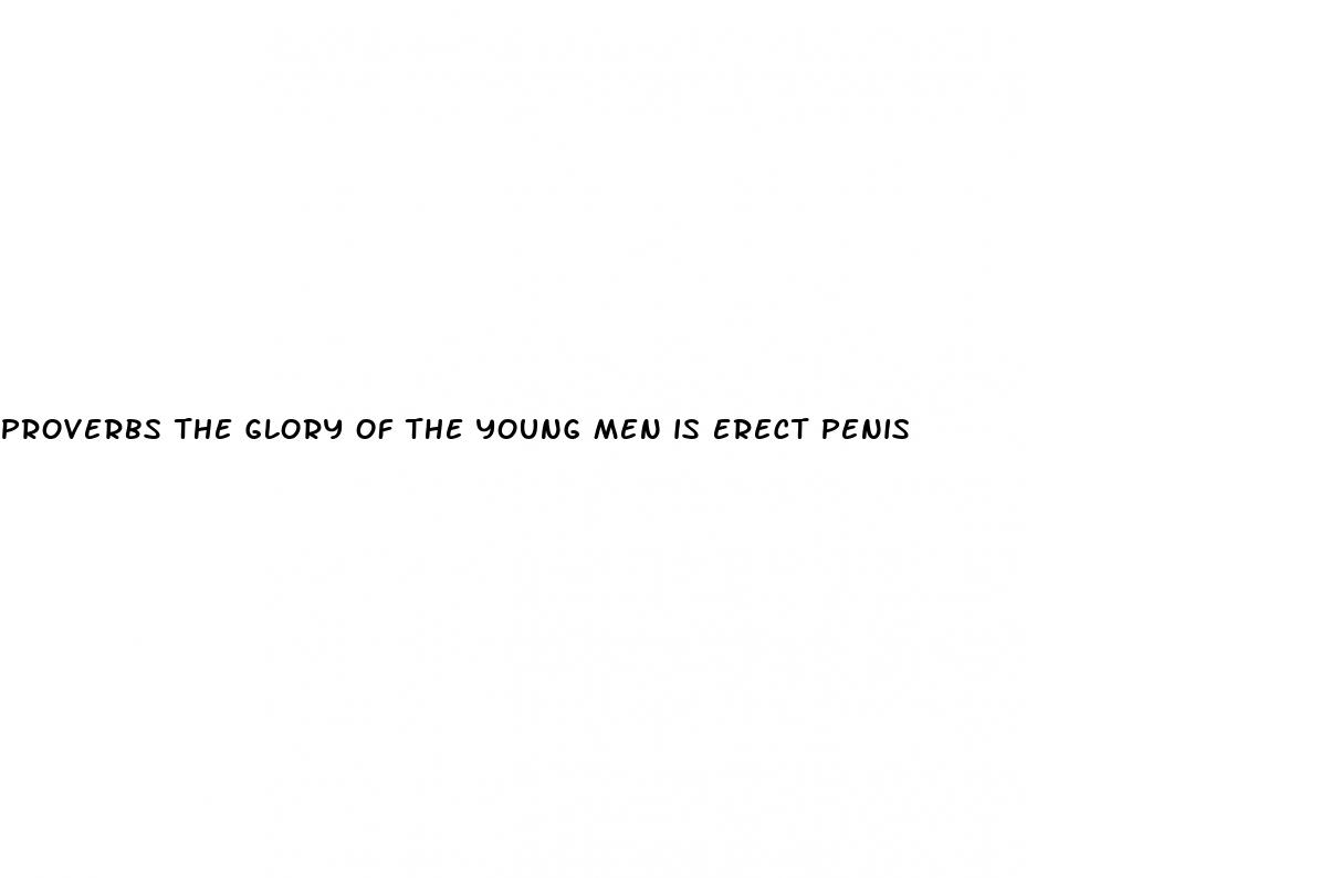 proverbs the glory of the young men is erect penis