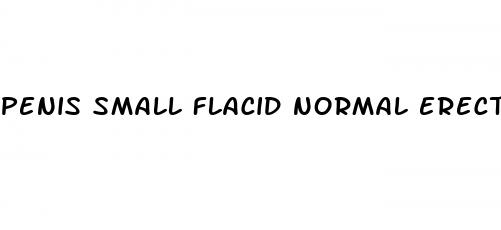 penis small flacid normal erect