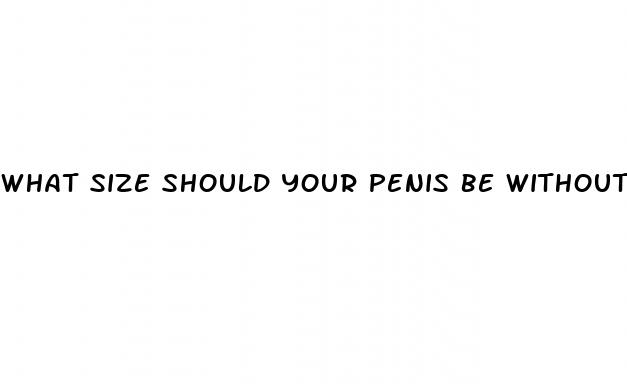 what size should your penis be without erection