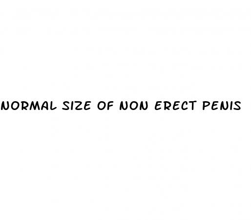 normal size of non erect penis