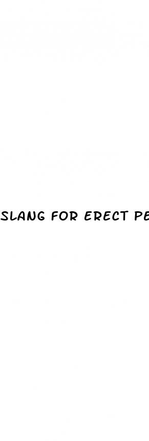 slang for erect penis