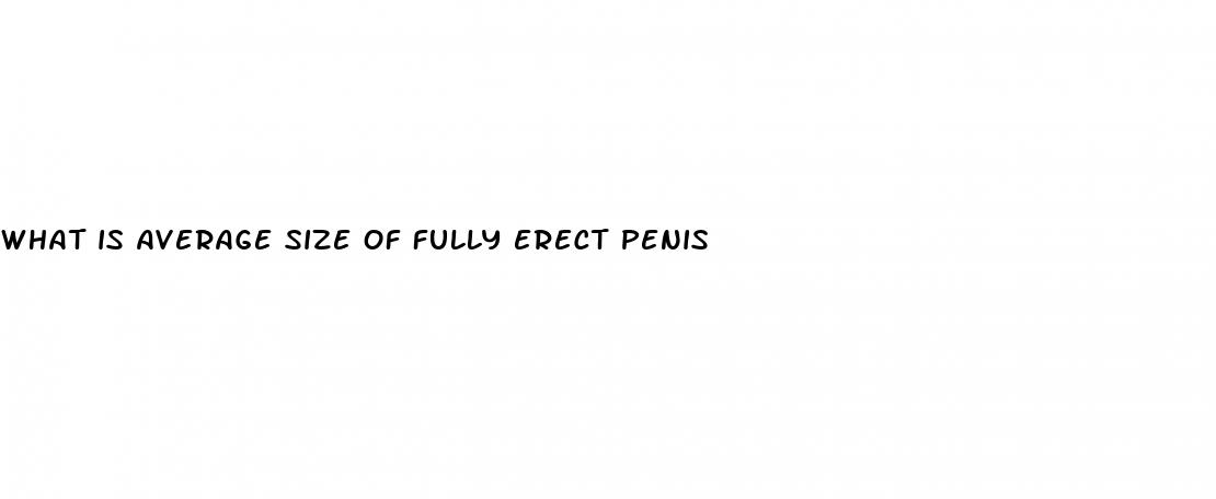 what is average size of fully erect penis