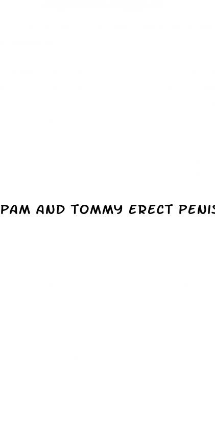 pam and tommy erect penis