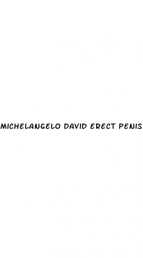 michelangelo david erect penis