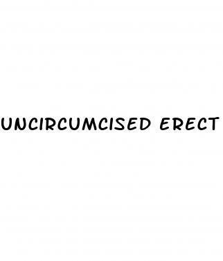uncircumcised erect penis with foreskin wiki photos