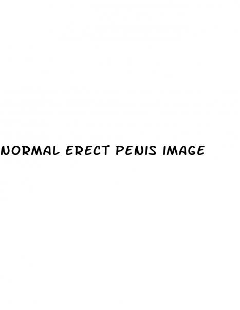 normal erect penis image