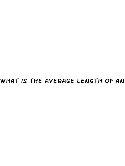 what is the average length of an erect penis