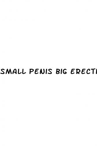 small penis big erection
