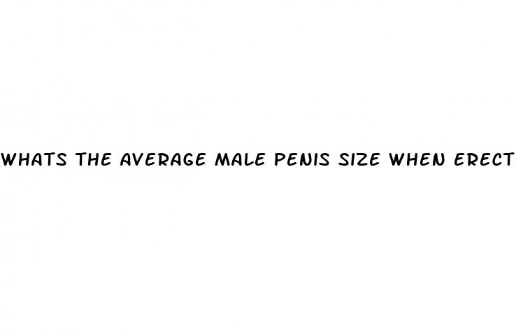 whats the average male penis size when erect