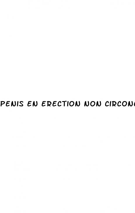 penis en erection non circoncis