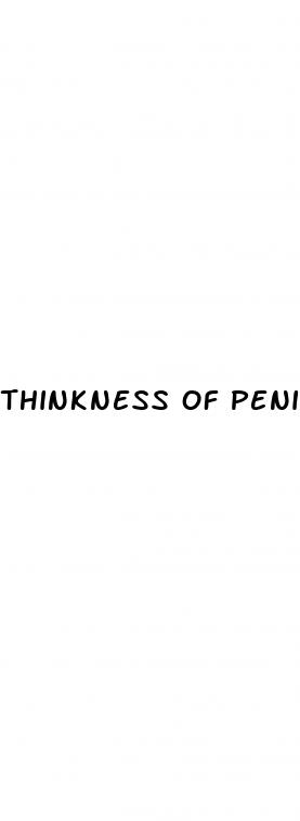 thinkness of penis when erected