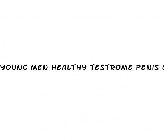 young men healthy testrome penis can t get erect for sex