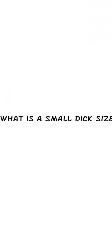 what is a small dick size