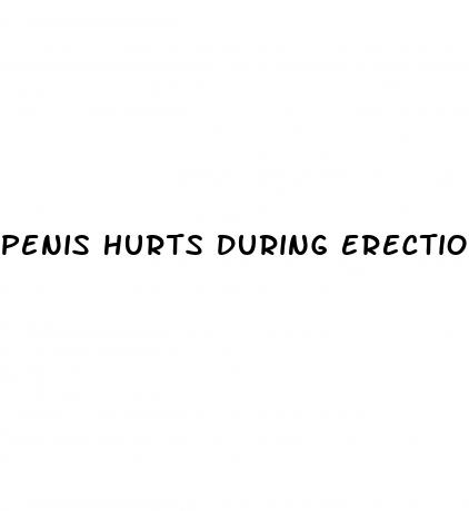 penis hurts during erection after watching porn reddit