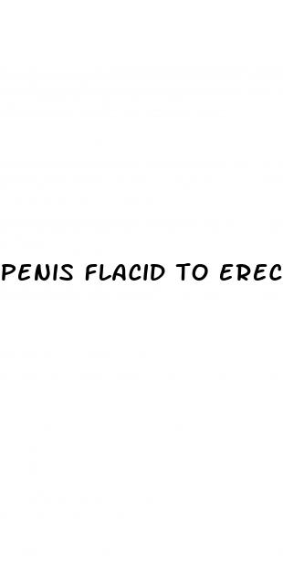 penis flacid to erect gif