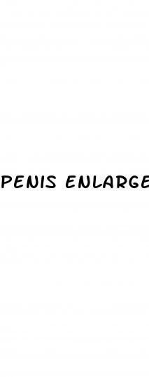 penis enlargement in dogs