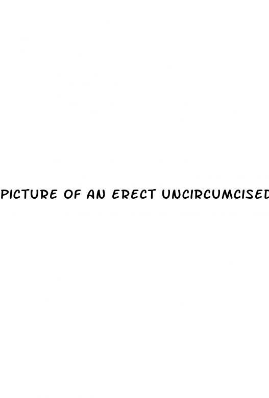 picture of an erect uncircumcised penis