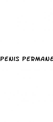 penis permanent enlargement that really works