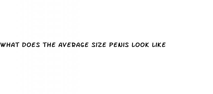 what does the average size penis look like