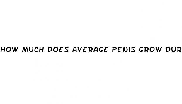 how much does average penis grow during erection