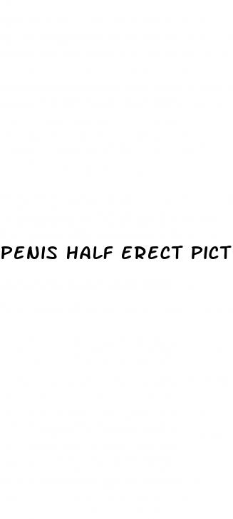 penis half erect pictures