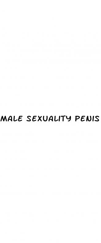 male sexuality penis erect but not sexually inclined