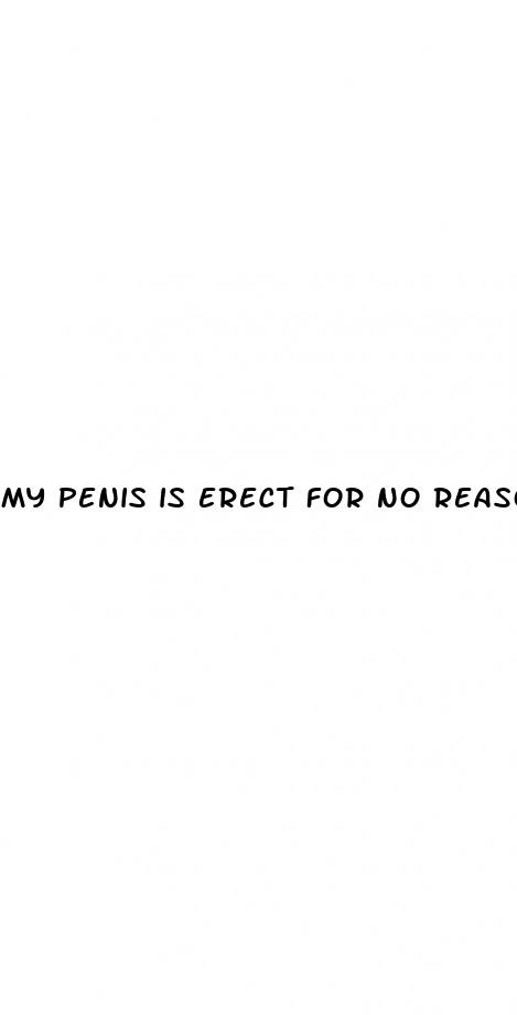 my penis is erect for no reason
