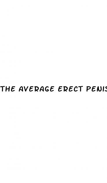 the average erect penis is about