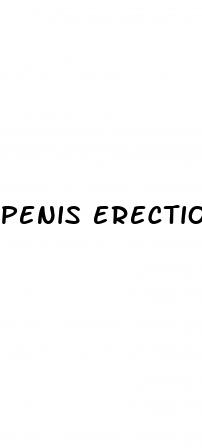 penis erection during massage sex