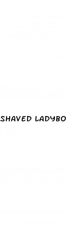 shaved ladyboy erect penis