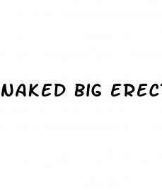naked big erection penis pics