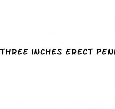 three inches erect penis