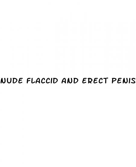 nude flaccid and erect penis by size
