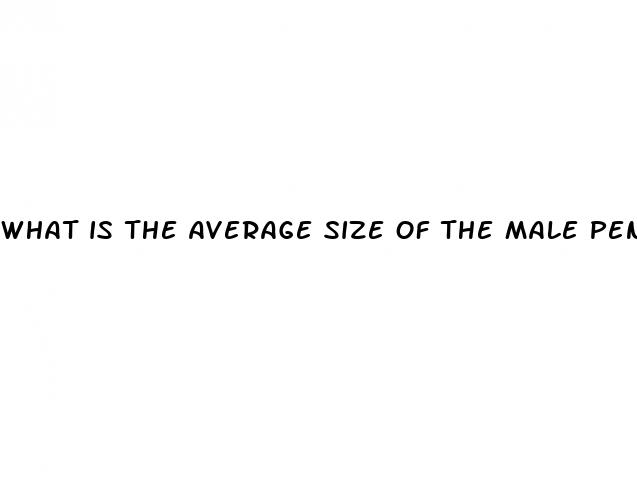 what is the average size of the male penis