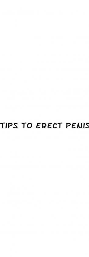 tips to erect penis