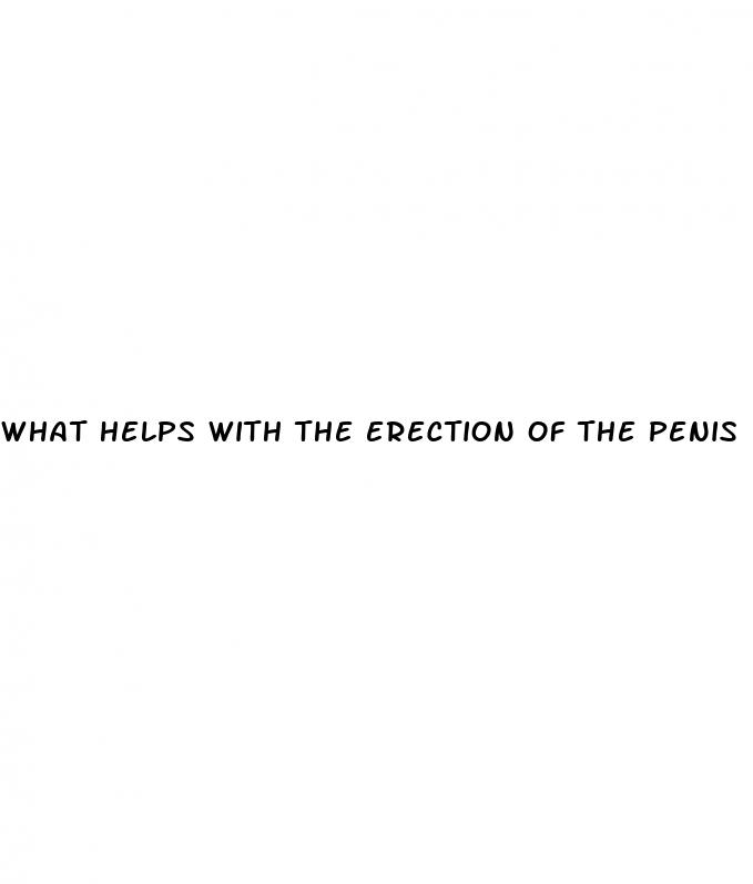 what helps with the erection of the penis