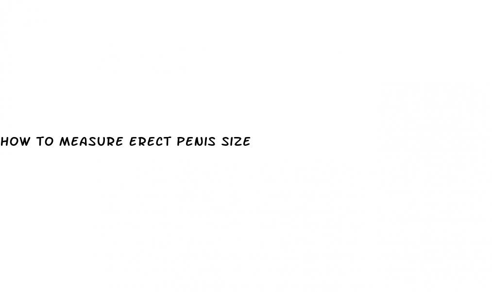 how to measure erect penis size