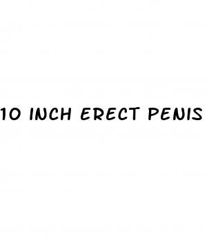 10 inch erect penis