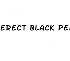 erect black penis pics