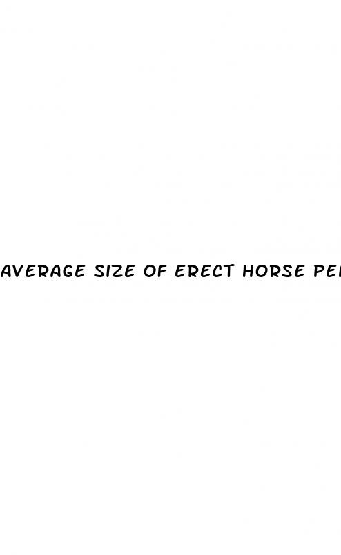 average size of erect horse penis