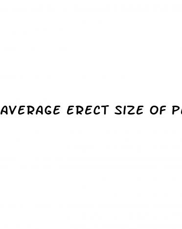 average erect size of penis